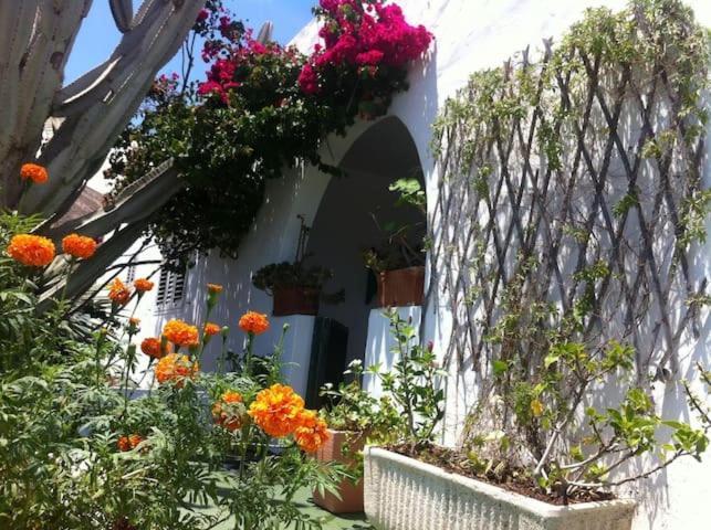 Villa Tranquila Orzola Buitenkant foto